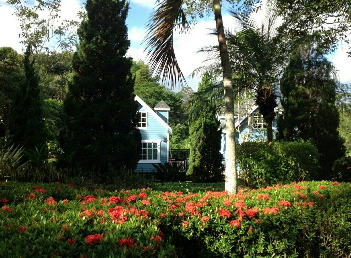 Baan Jaokorkluay บ้านเจ้ากอกล้วย Chiang Rai Zewnętrze zdjęcie