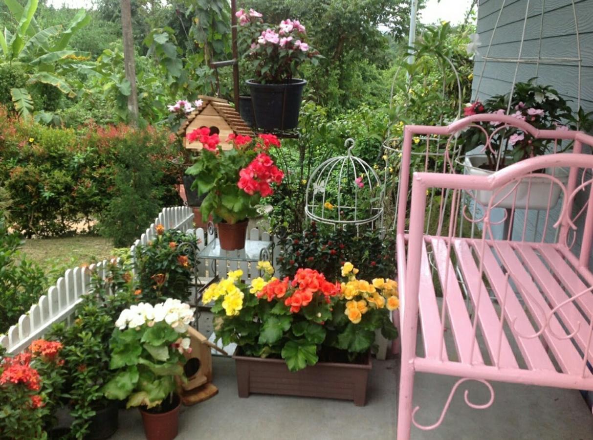 Baan Jaokorkluay บ้านเจ้ากอกล้วย Chiang Rai Zewnętrze zdjęcie