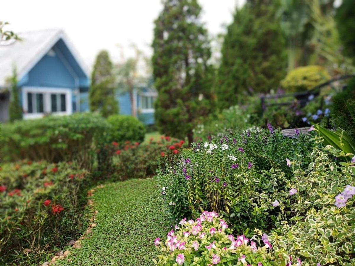 Baan Jaokorkluay บ้านเจ้ากอกล้วย Chiang Rai Zewnętrze zdjęcie