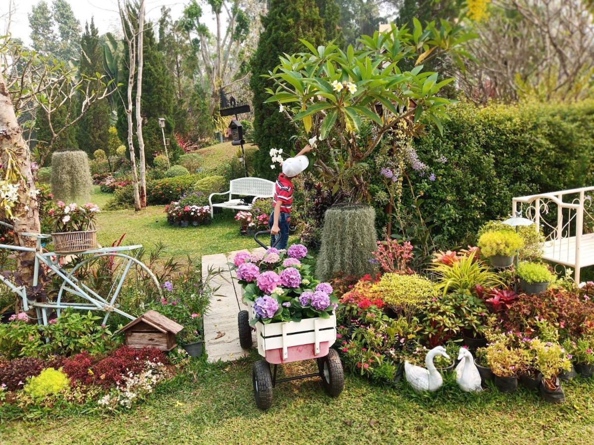 Baan Jaokorkluay บ้านเจ้ากอกล้วย Chiang Rai Zewnętrze zdjęcie